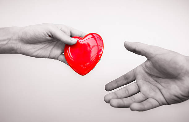 donate my eggs - donate medic 3